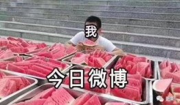 吃瓜前线第一人 今日吃瓜热门大瓜必看大瓜网红,今日热门大瓜，网红瓜王带你一网打尽